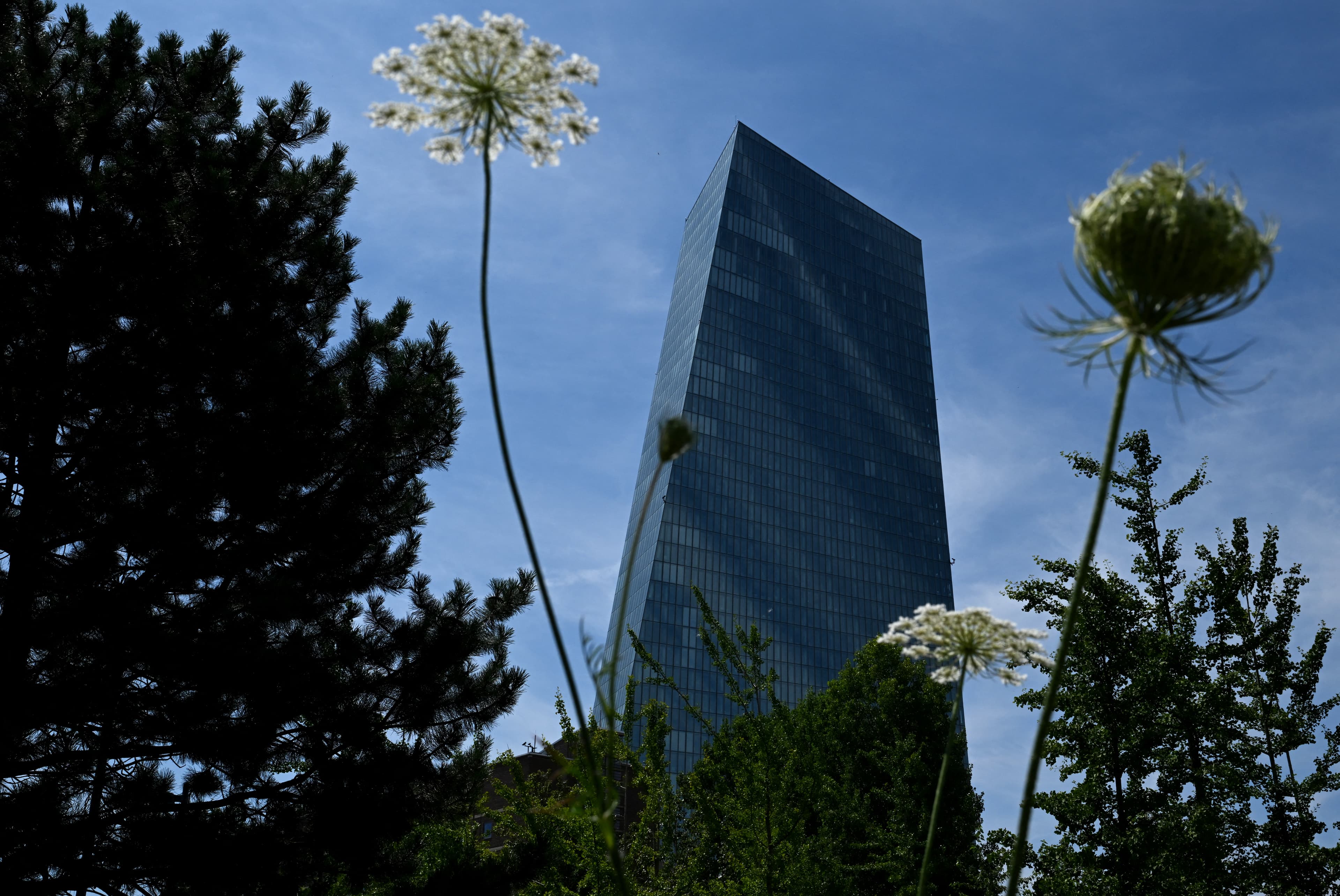 BoJ, Fed, BoC, ECB and BoE week: how the energy shock could ripple through FX