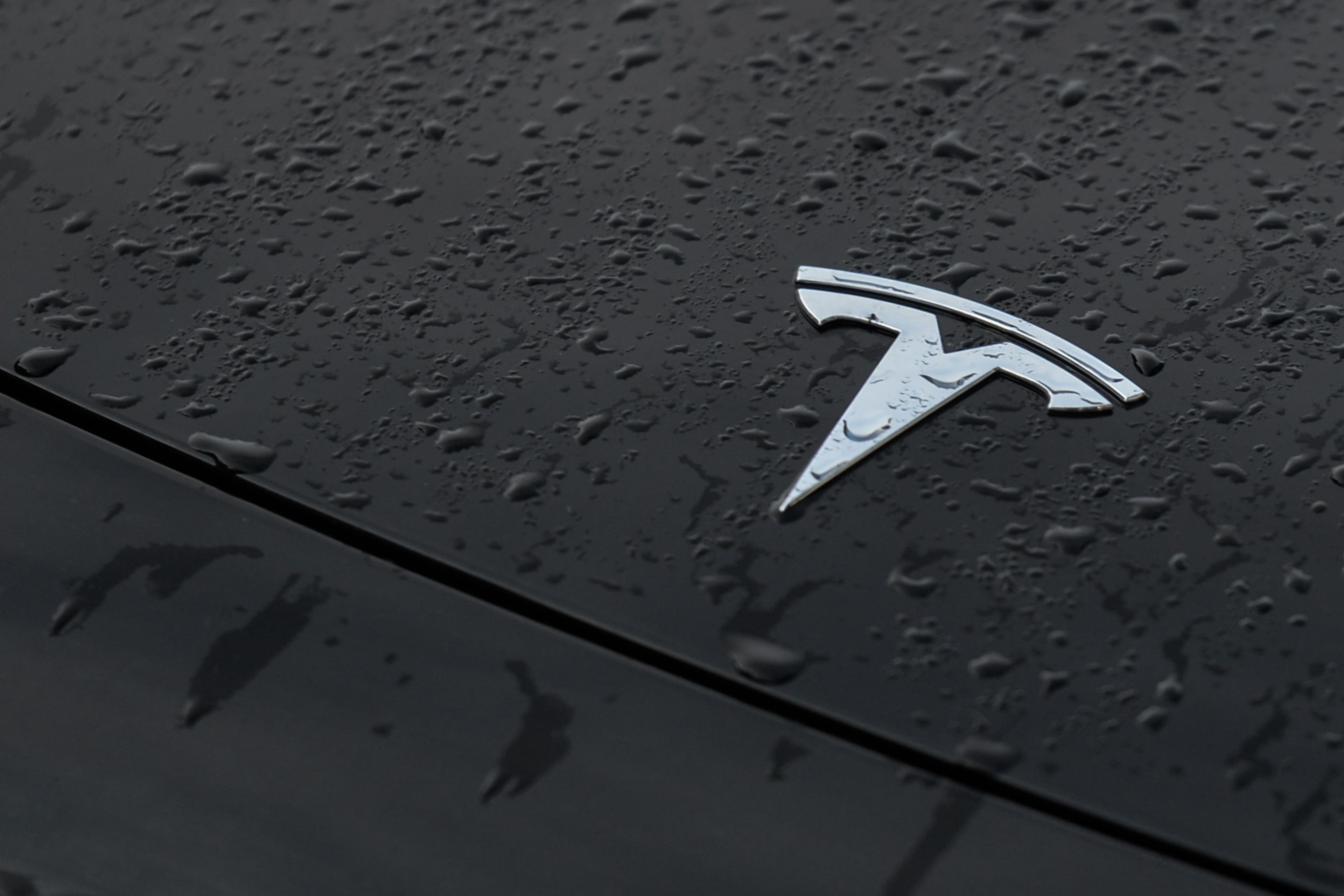 Tesla Logo on Car