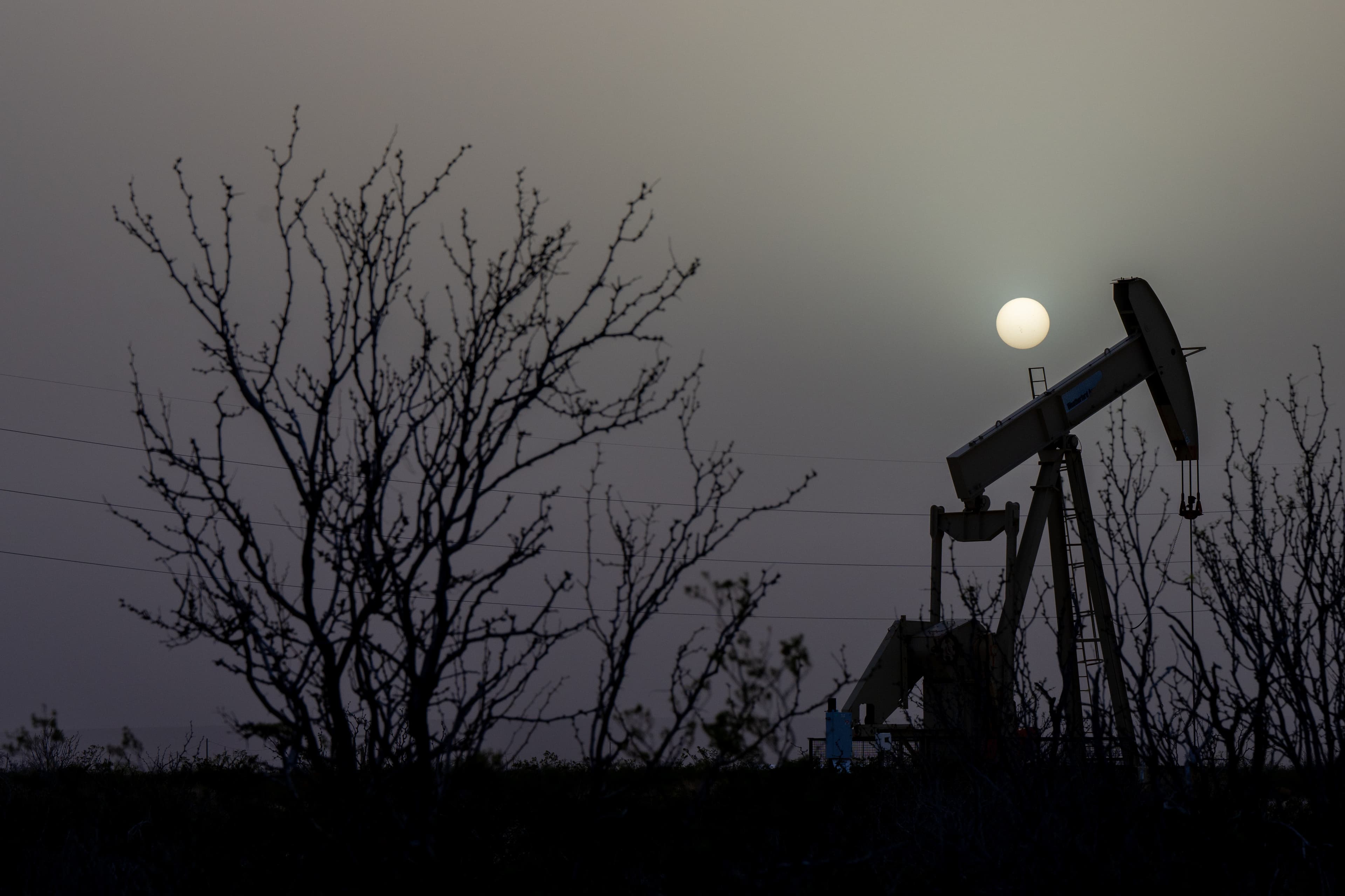 Oil finds support - Hero