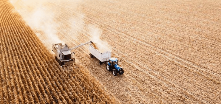 Tractor harvesting grains