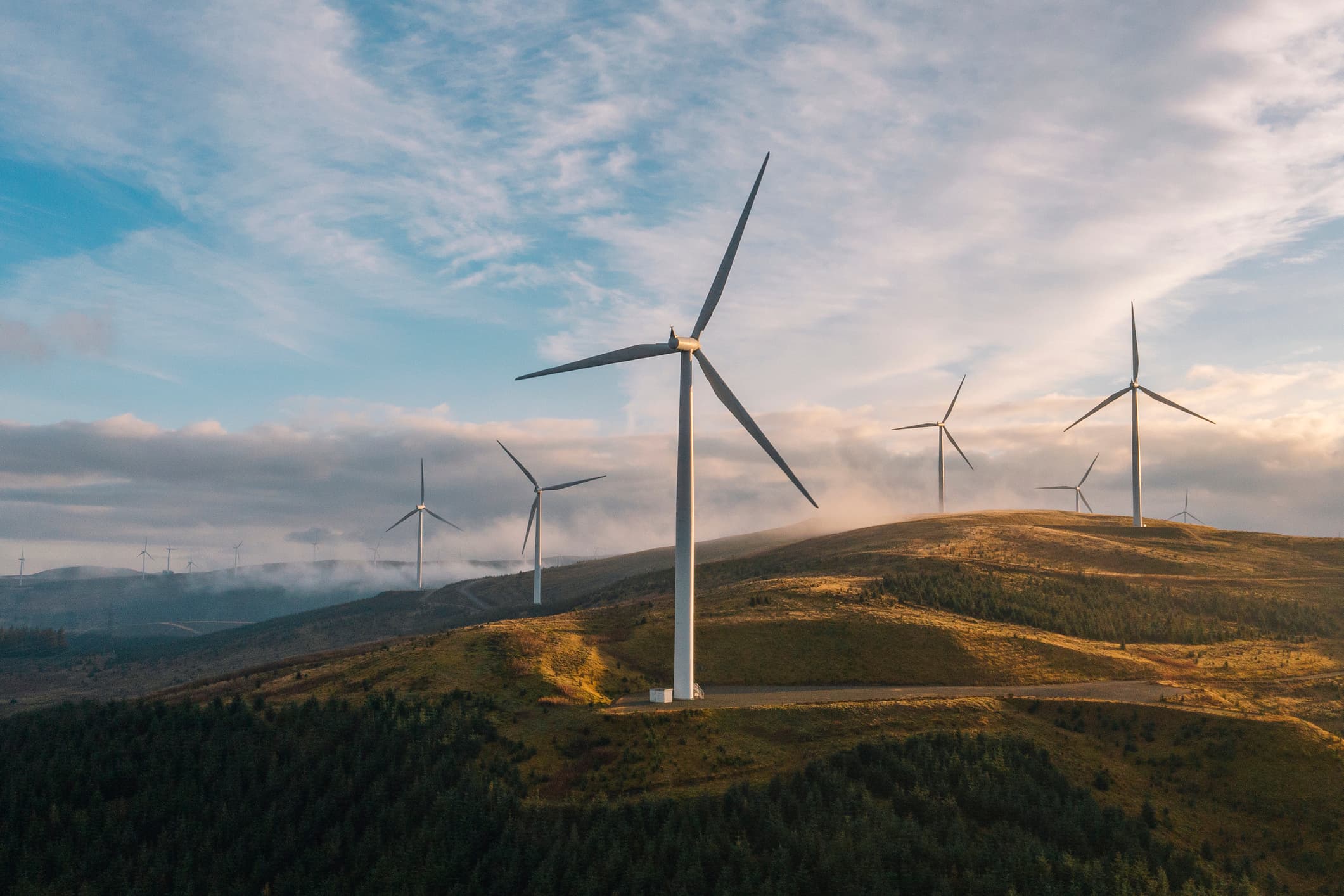 A row of wind turbines is positioned on a hillside, symbolizing sustainable energy production in a natural landscape.